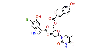 Leptoclinidine B